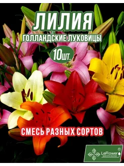 Лилия Луковица, Микс разные, 10 шт