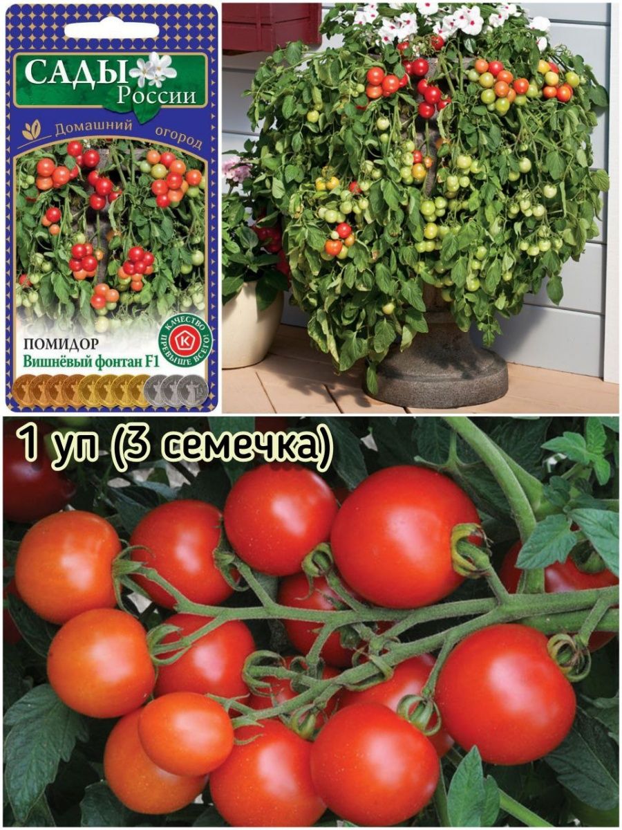 сладкая гроздь томат описание сорта фото