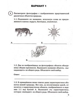 Впр биология 8 класс линейная программа образец