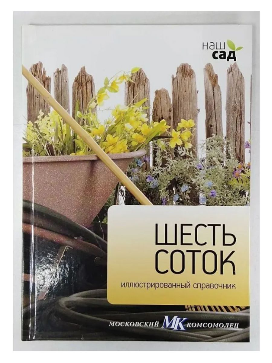 Отечественное творчество. Отечественное искусство. Искусство за рубежом. Книга за рубежом. Страницы отечественного искусства.