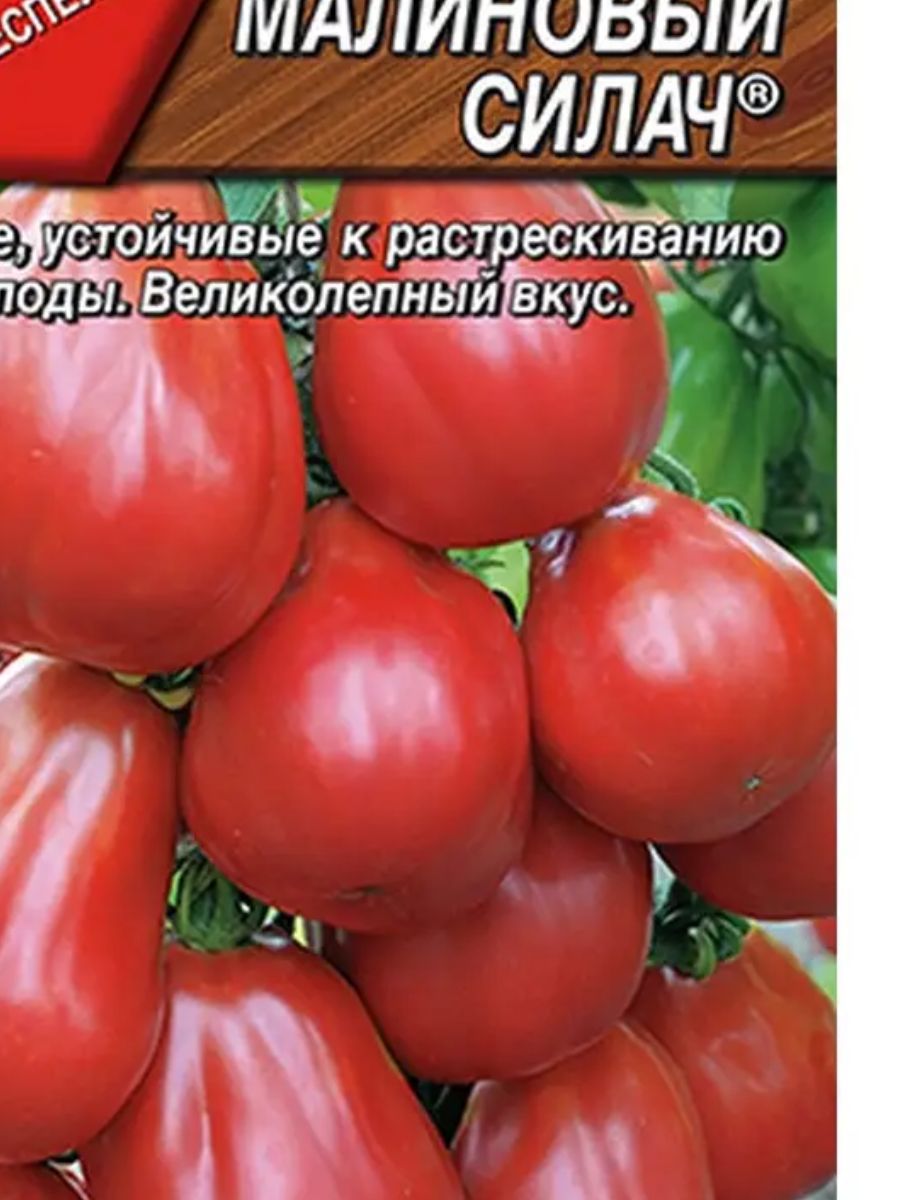 томат малиновый гигант описание сорта фото