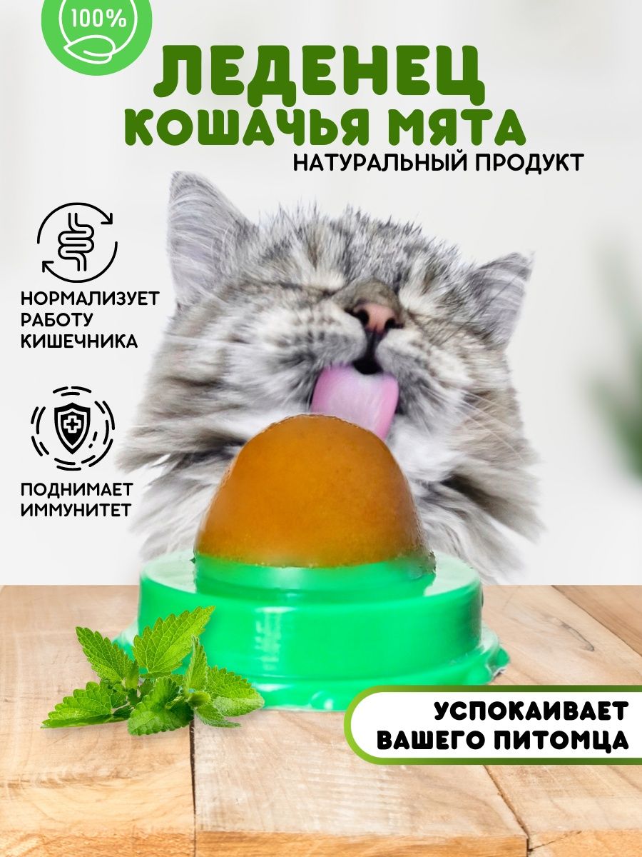 манга моя кошачья мята фото 50