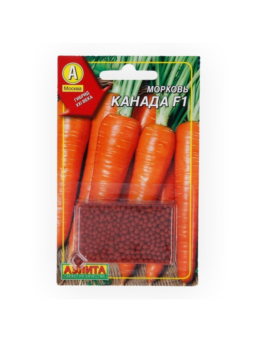 сорт моркови канада