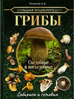 Большая энциклопедия. Грибы. Съедобные