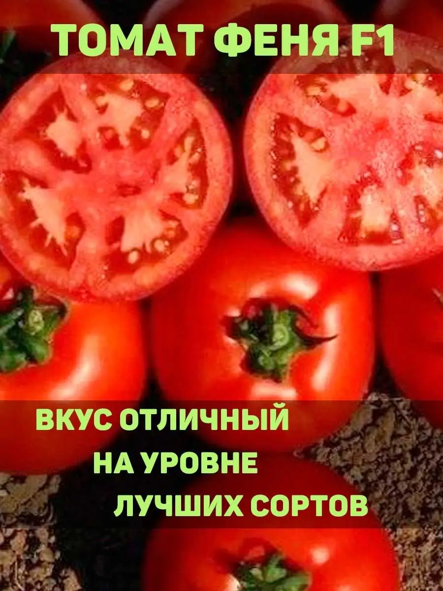 Семена томатов феня. Томат Оля f1. Томат Феня 1. Томат Феня семена Алтая. Помидор Феня семена Алтая.