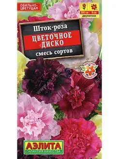 Шток-роза Цветочное диско, 2 пакета