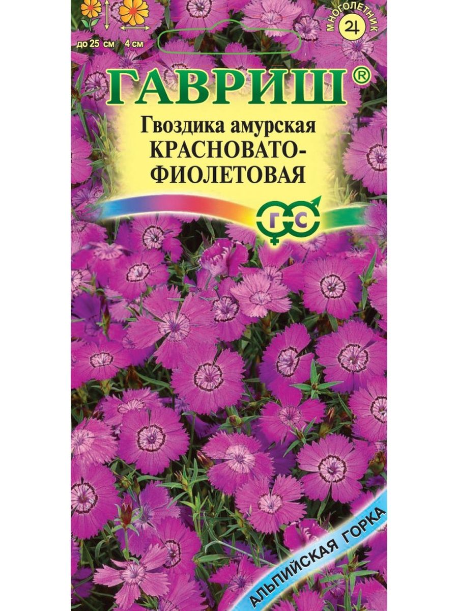 гвоздика торонто