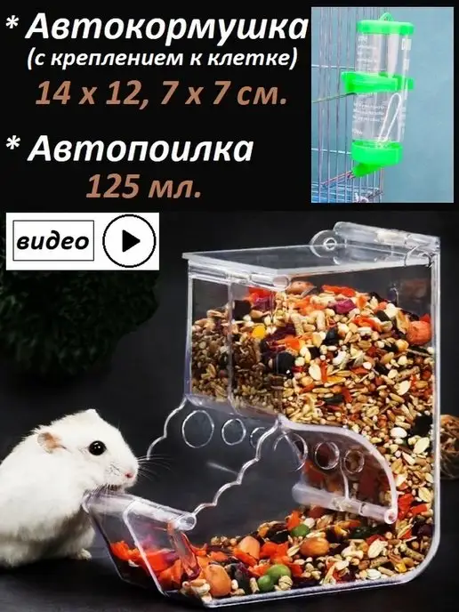 Крысье место - там, где уютно. Украинский форум для всех, кто любит декоративных крыс.