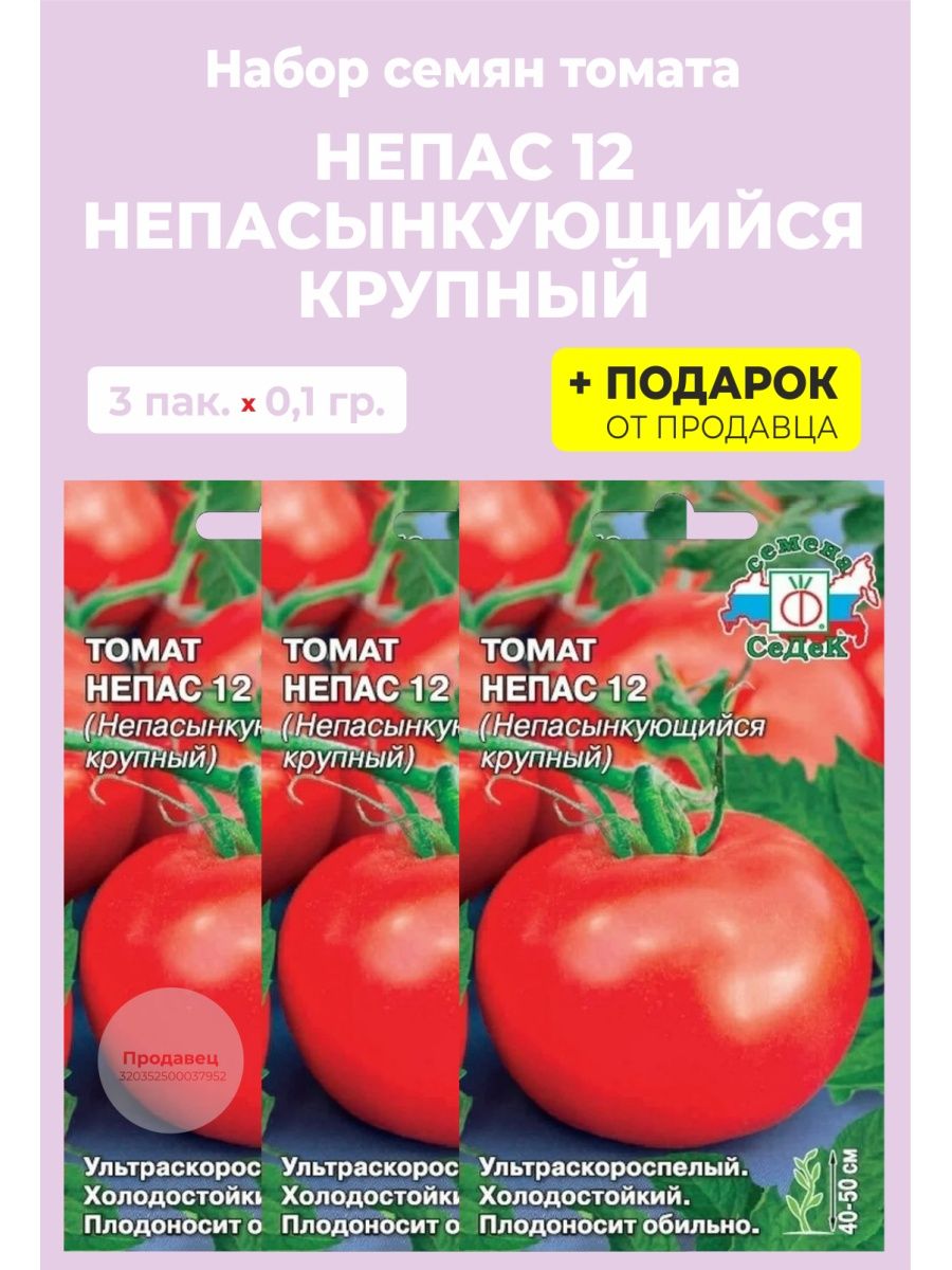 томат ультраскороспелый фото