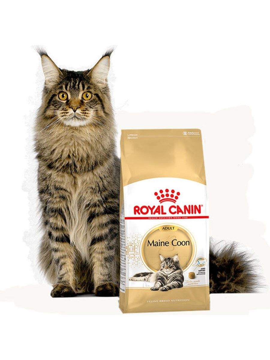 Royal Canin корм Maine Coon для кошек