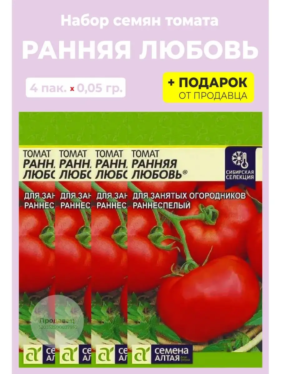 Помидоры любовь описание фото отзывы. Томат ранняя любовь семена Алтая. Сорт помидор ранняя любовь. Сорт помидоров любовь. Семена ранний помидор.