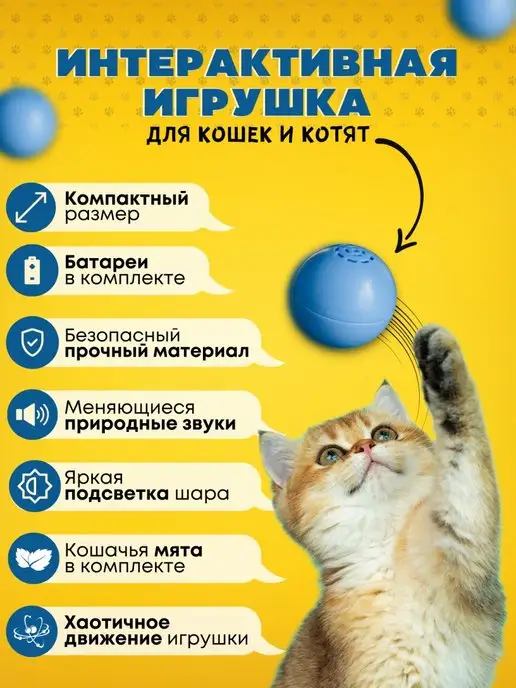 Звук который привлекает кошек