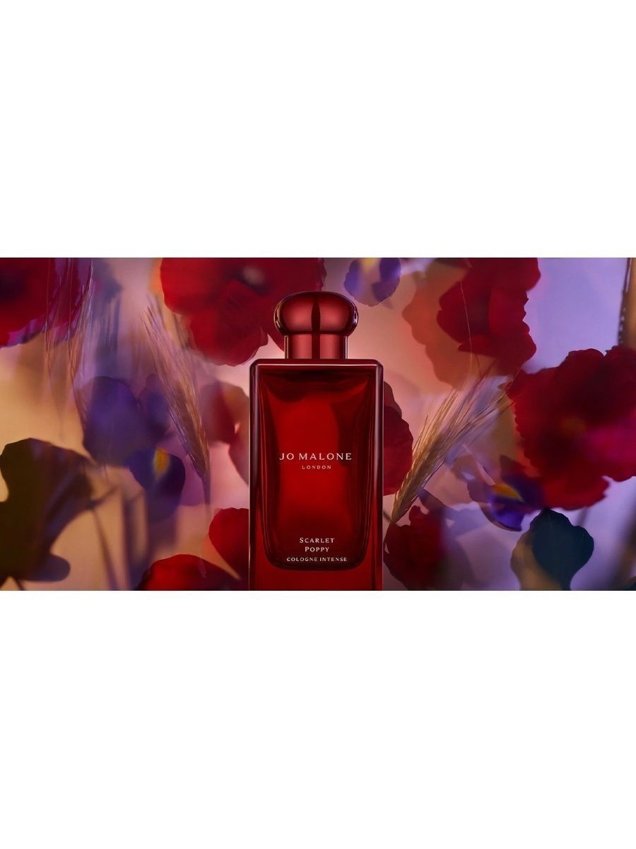 Джо малон скарлет. Jo Malone Scarlet Poppy Cologne intense. Jo Malone Scarlet Poppy intense. Джо Малон Скарлет Поппи. Scarlet Poppy intense Jo Malone London.