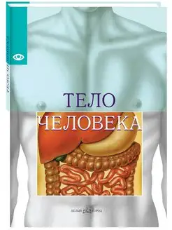 Тело человека