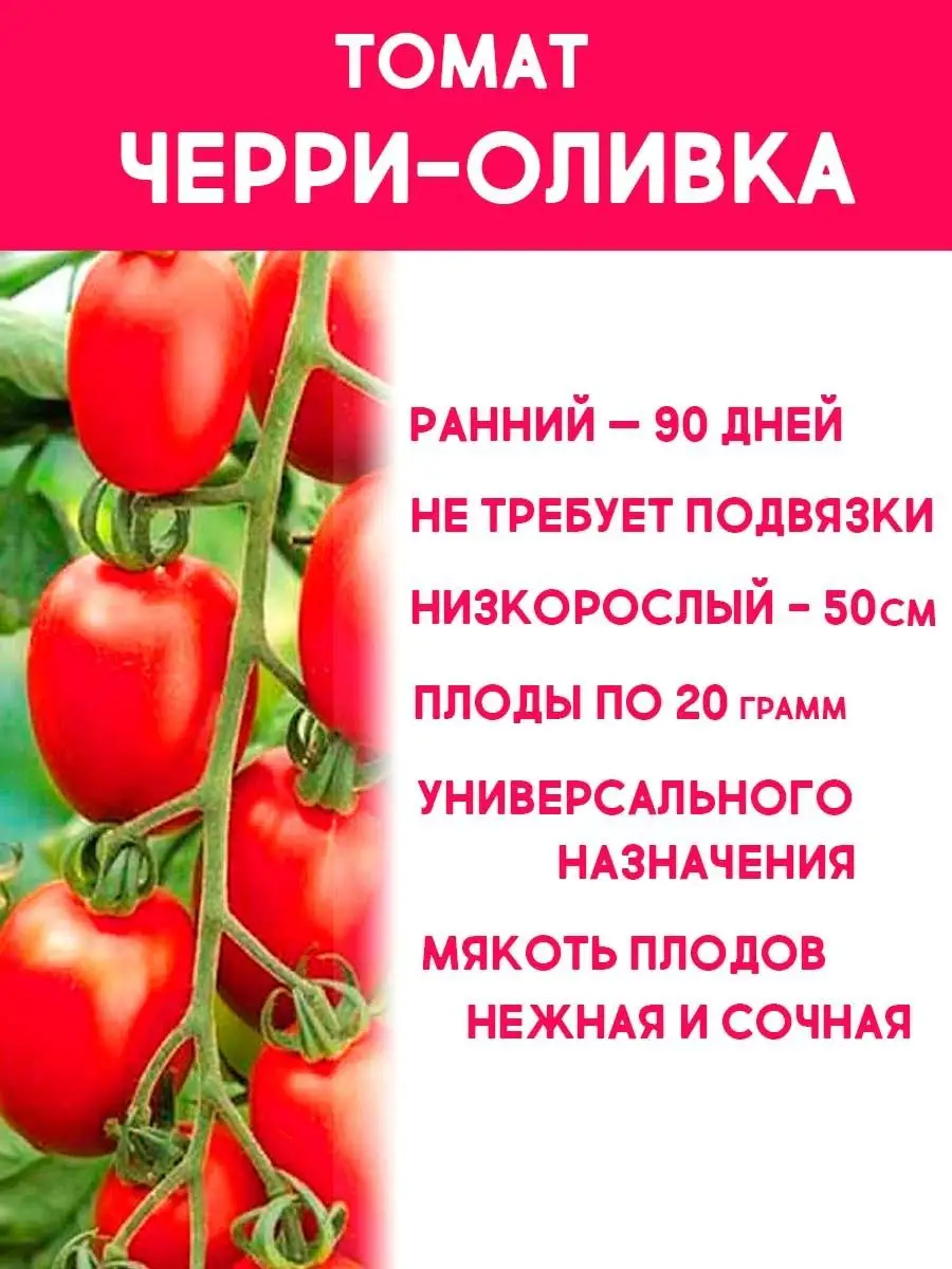Семена томатов Черри Оливка помидорки Сибирский сад 99960441 купить за 134₽ в интернет-магазине Wildberries