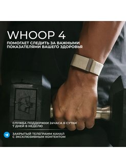 Whoop 4.0. Pioneer приложение. Приложение Arc Pioneer. Arc программа. Настройка Пионер приложение.